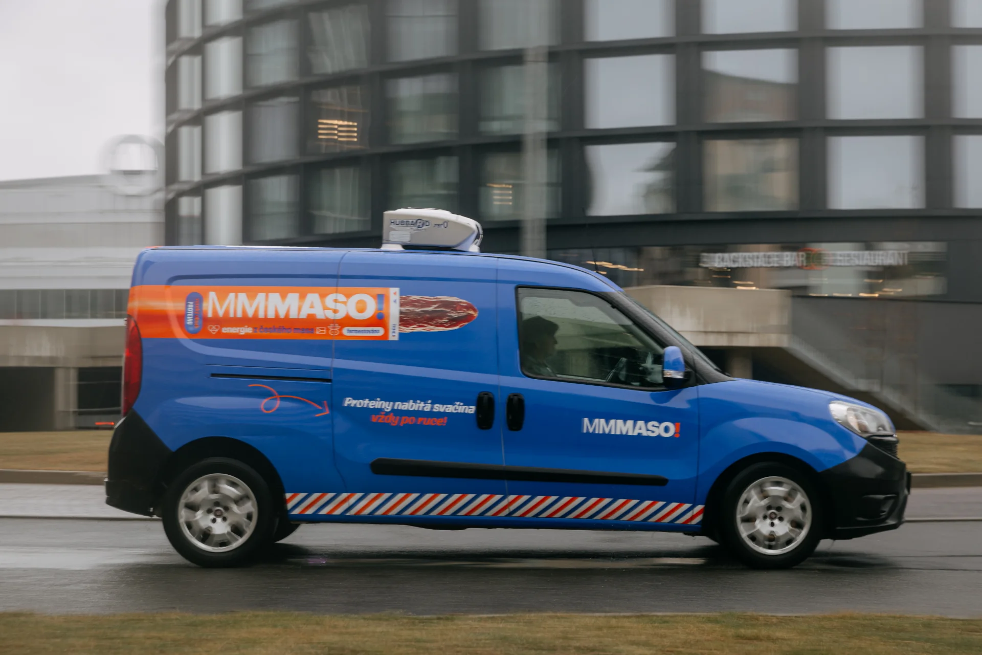 Krávy pasoucí se na louce